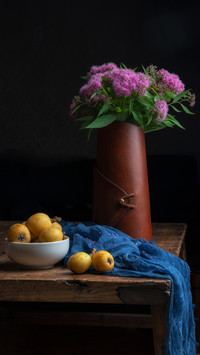 Six taboos of indoor flower cultivation 93