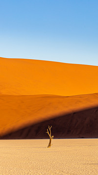 Natural Scenery of Namib Desert in Africa