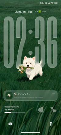 Dog