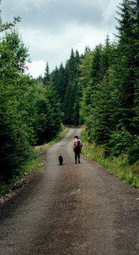 Roads &amp; Pathways (26)