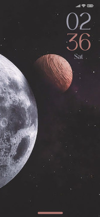 Space X
