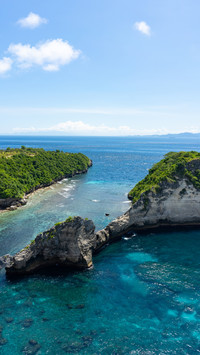 Vegetation Abounds, Islands in Natural Bliss