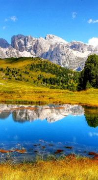 Beauty of Earth (25)