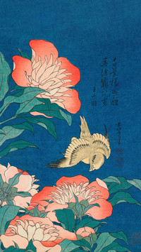 日本花鸟绘的东方诗意