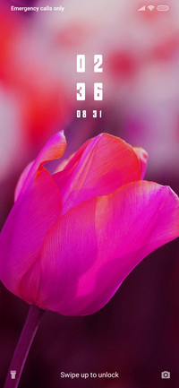 Field of Tulips_3MDS