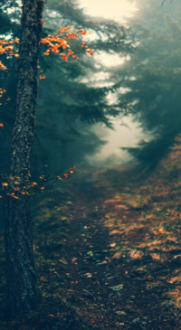 Roads &amp; Pathways (8)