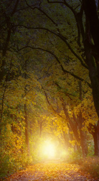 Roads &amp; Pathways (11)