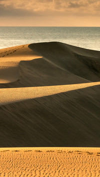 Maspalomas dunes in sunrise light