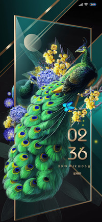 翡翠金 奢华孔雀