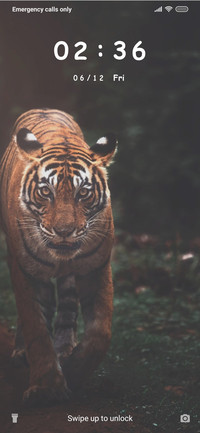Tiger - Filter_3MDS