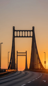 Bridge on the Rhine