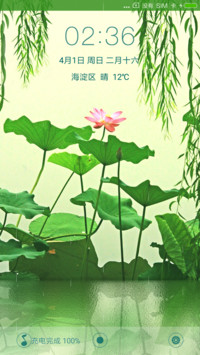 雨中之莲