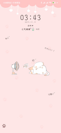 喵喵的日常