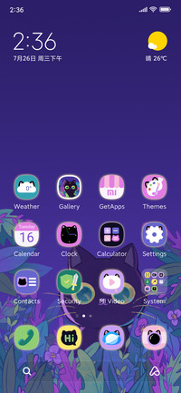 black cat