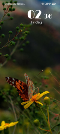 Floral Harmony