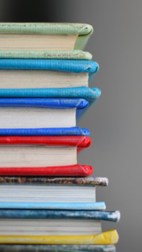 Literacy Day  (7)