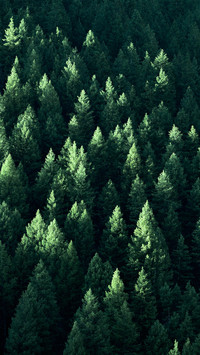 Green eye protection wallpaper