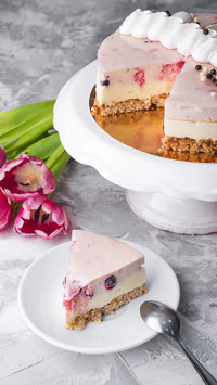 Delicious cake-10