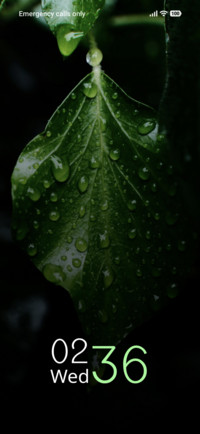Rain Beads