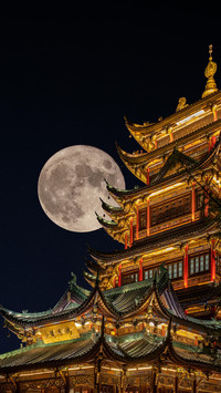 月光长长照故里