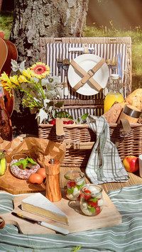 Super practical picnic introduction 94