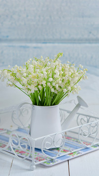 Lily of the valley is so easy to raise 7