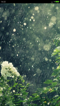 下起了雨【下雨效果】
