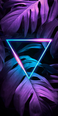 all best neon (19)