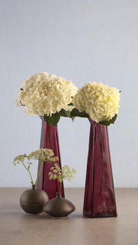 Category 8 of Modern Flower Arrangement Art