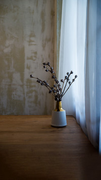 Vase on wood table in living room