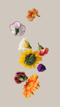 Creative wallpaper-16