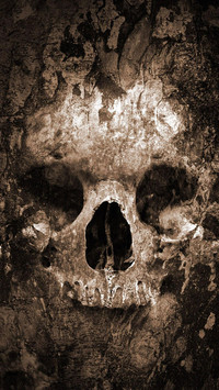 human skull