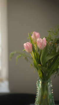 Tulips in a vase on the table