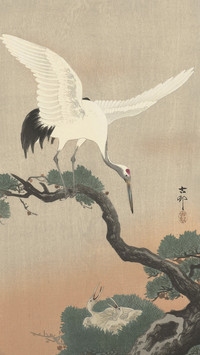 重阳节