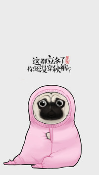 腿短也得穿秋裤！