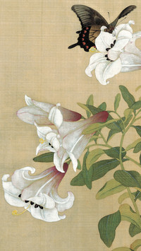 余稚 《花鸟图》