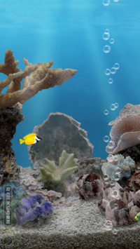 热带鱼水族馆