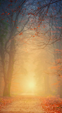 Roads &amp; Pathways (39)