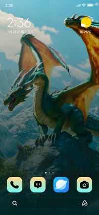 Snow Dragon