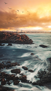 How to capture daily scenery with a mobile phone