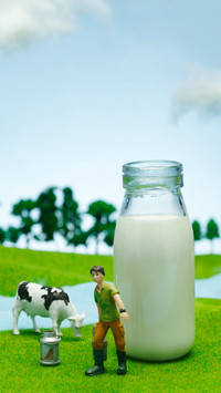Nutritional value of milk and soymilk 95