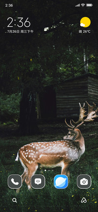 Spotted Rein Deer