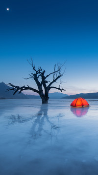 6 to go camping with