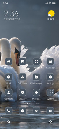Swan