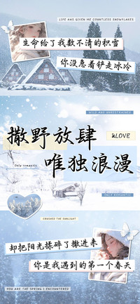 撒野放肆唯独浪漫