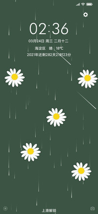 小雏菊