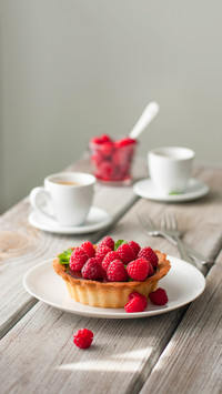 Chocolate and Raspberry tart on a white plate