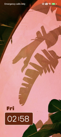Brown Leaf