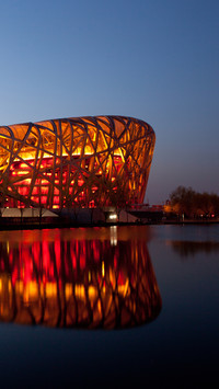 How shocking is the birds nest performance 70
