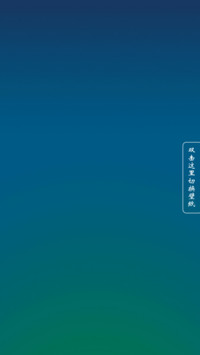 ZUI